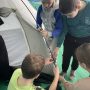 изображение_viber_2025-02-10_08-43-02-451