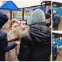 изображение_viber_2025-03-27_09-33-39-142