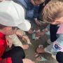изображение_viber_2025-05-05_10-55-47-917