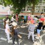 изображение_viber_2025-06-02_16-16-32-968