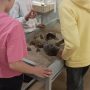 изображение_viber_2025-06-13_16-22-20-847