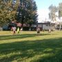 изображение_viber_2025-08-14_08-38-39-420