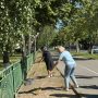 изображение_viber_2025-08-15_15-43-56-450